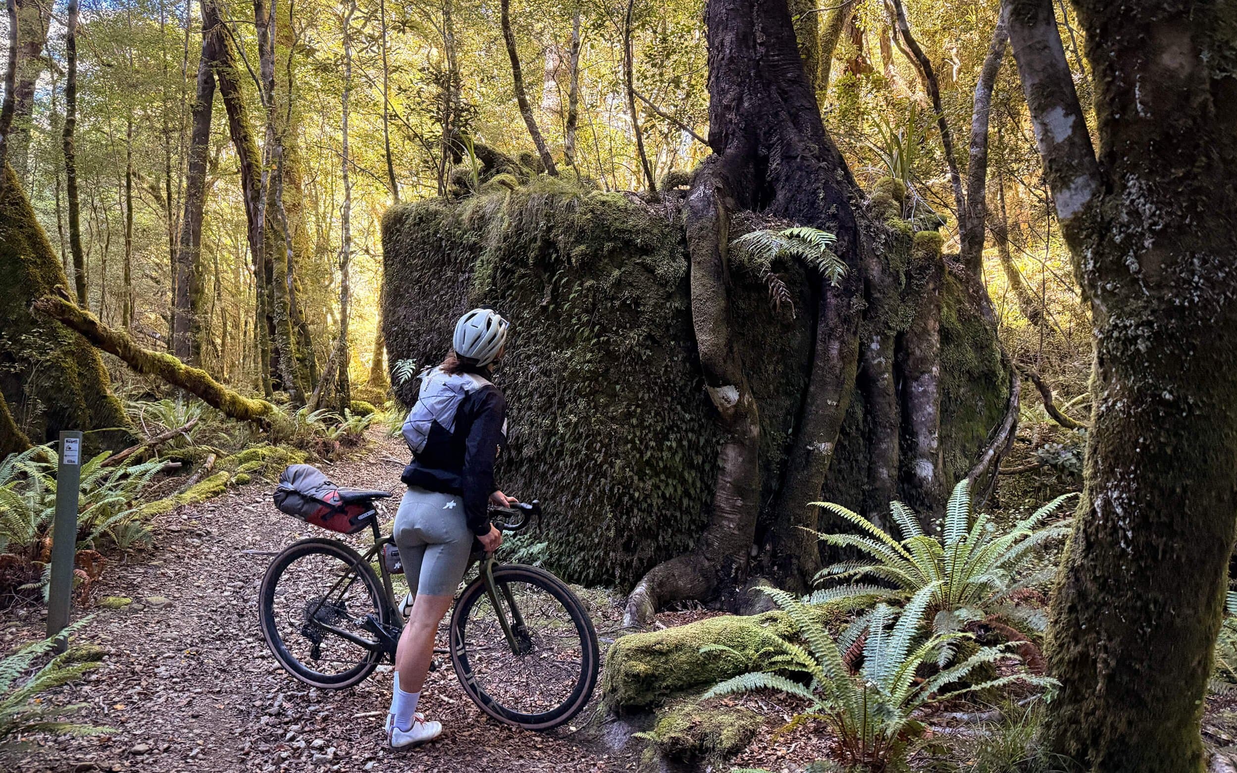 The Old Ghost Road Gravel by Kim Gintrand (16)