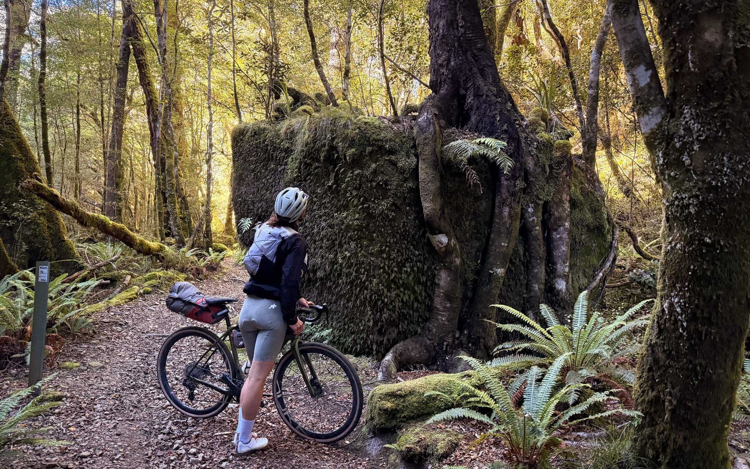 The Old Ghost Road Gravel by Kim Gintrand (16)