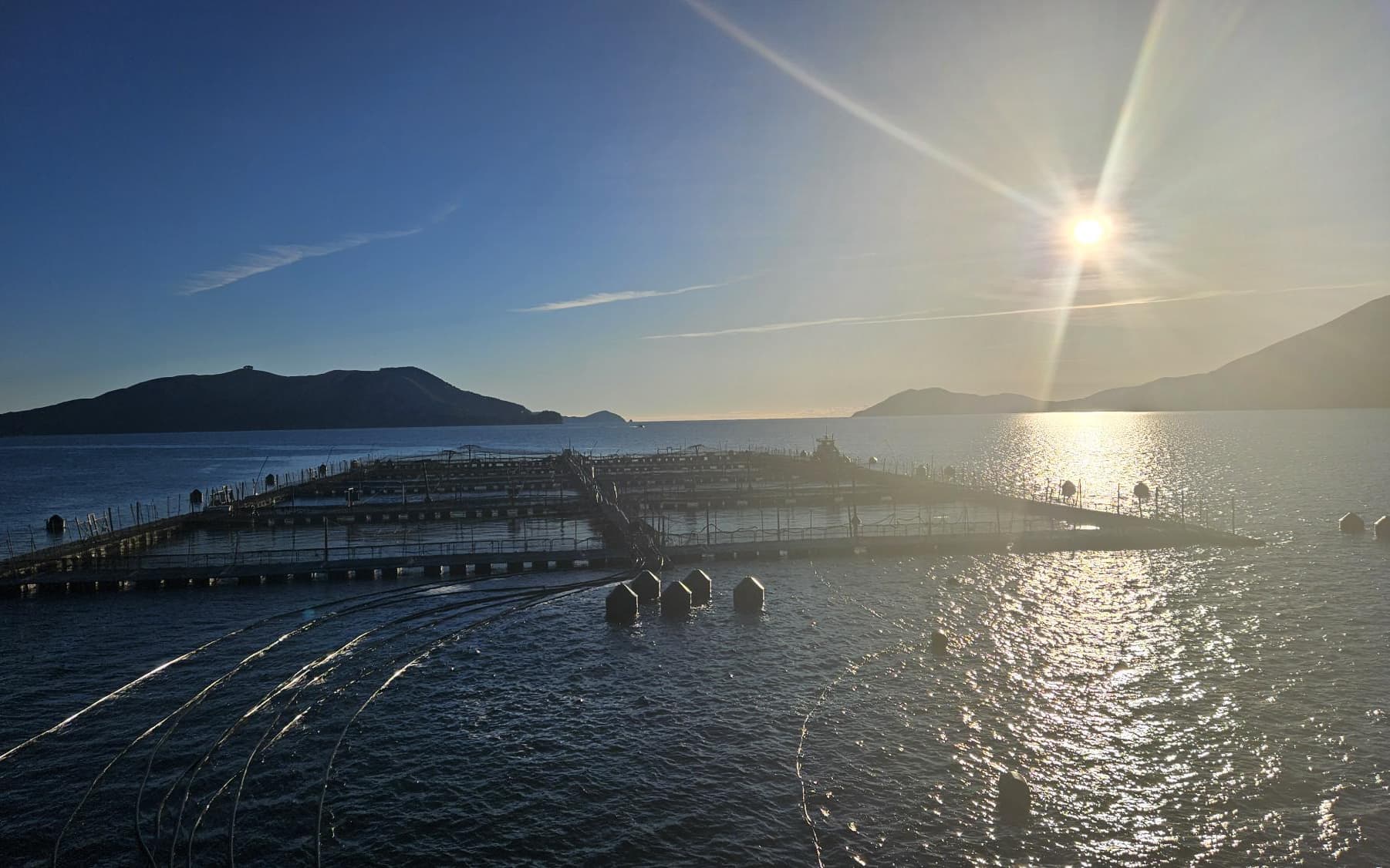 NZ King Salmon Company