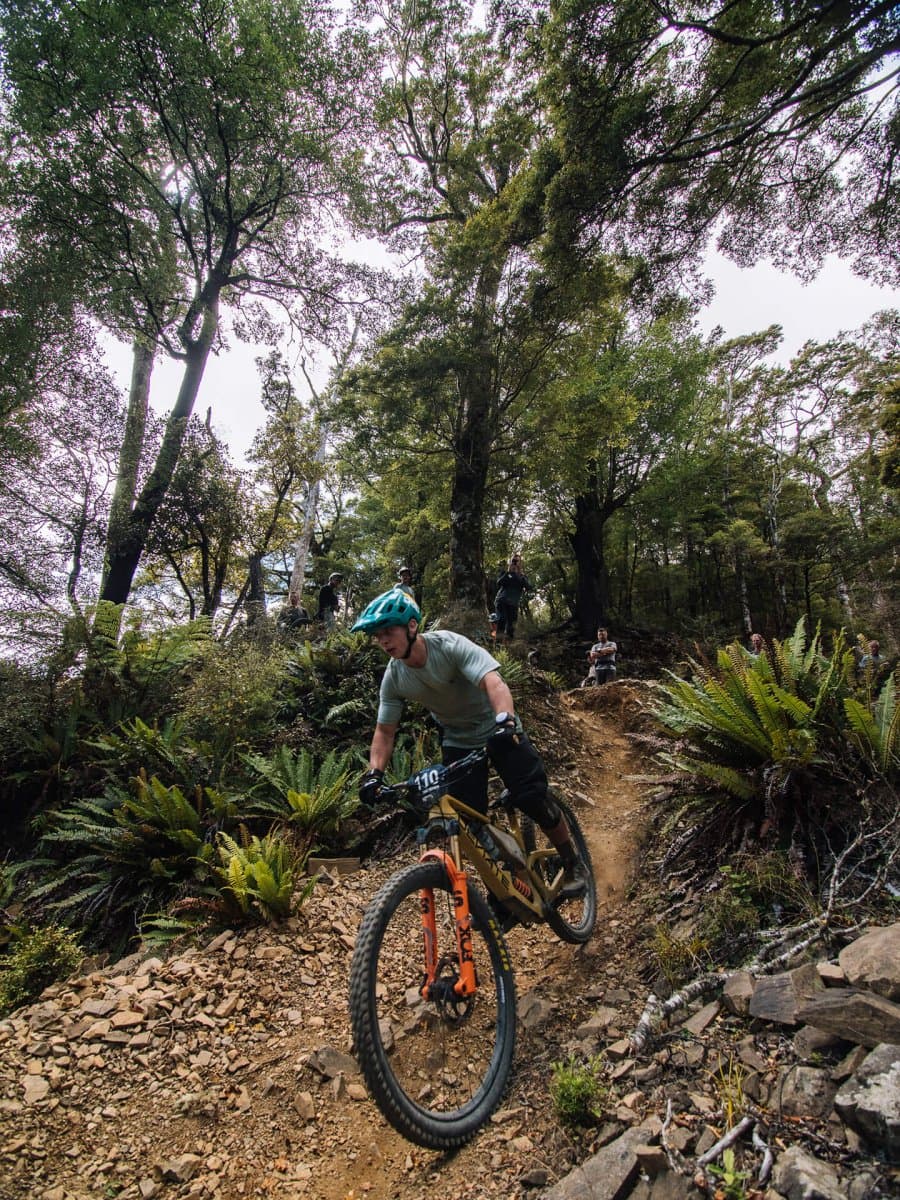 Cable Bay Adventure Park offers a wide diversity of trails, from flowy easy trails to advanced technical trails.