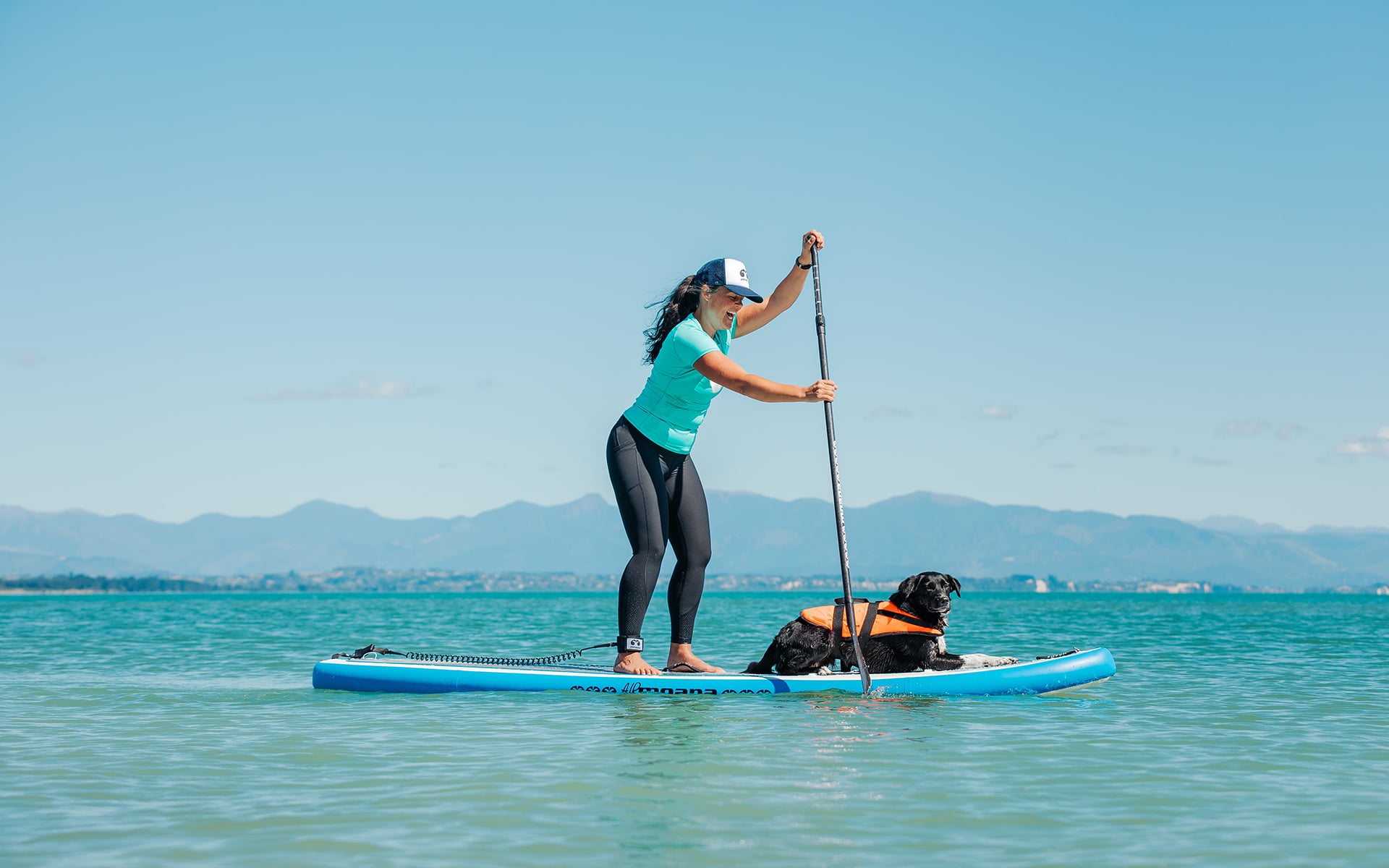 Moana SUP Dog Friendly Tahunanui by Aimee Jules
