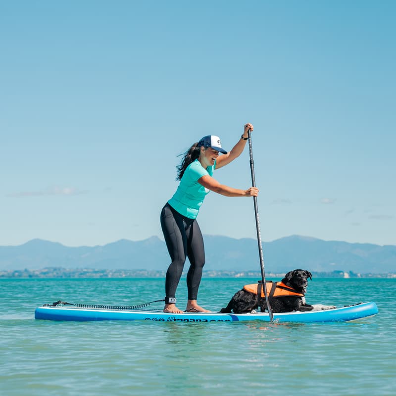 Moana SUP Dog Friendly Tahunanui by Aimee Jules