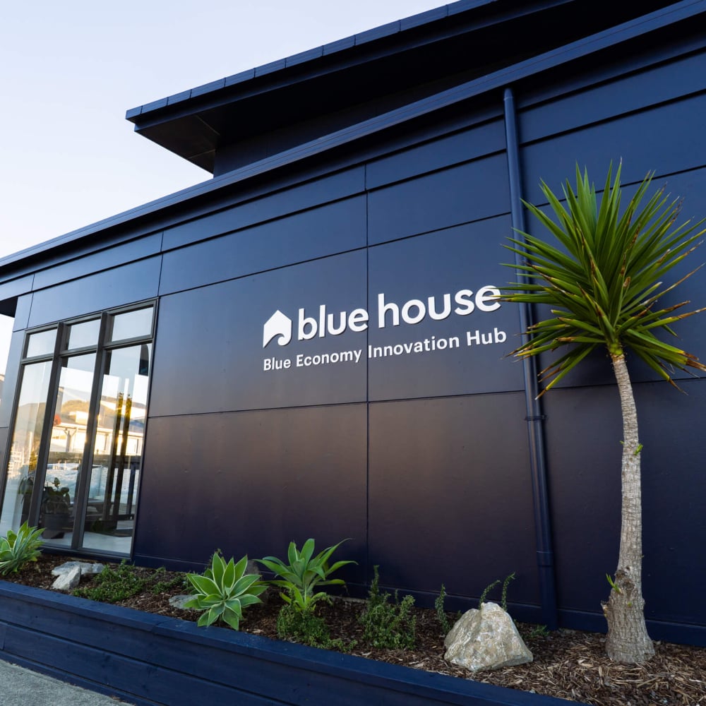 Blue House
