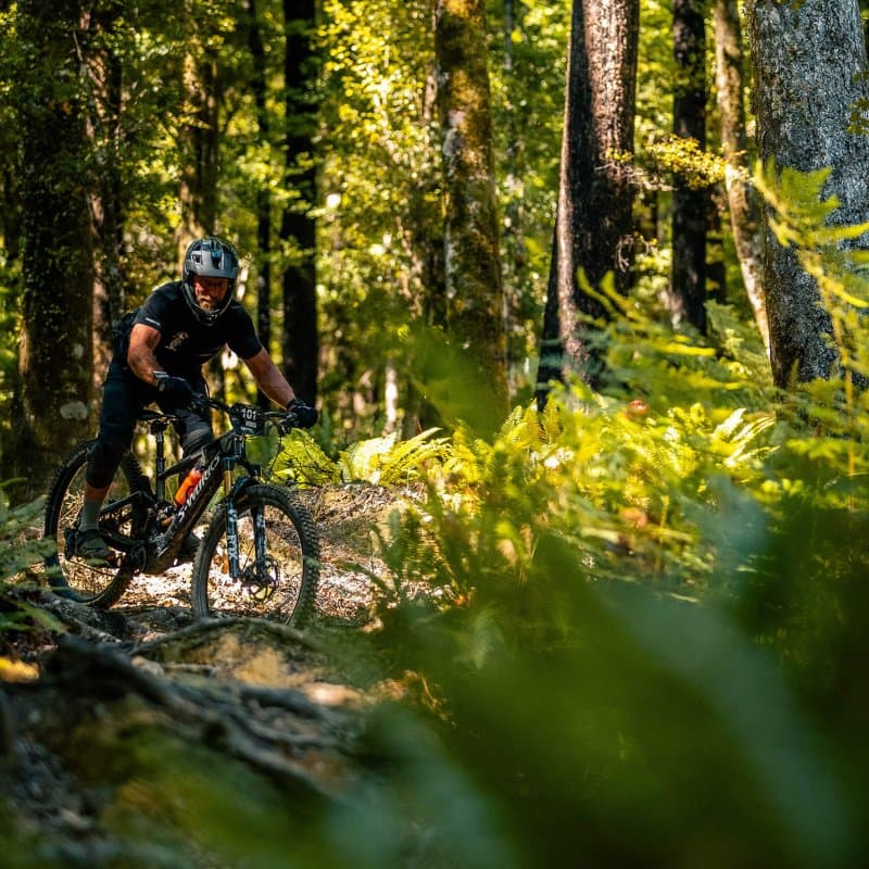 Heli-rides, boat cruise shuttles and 20,000m of descending