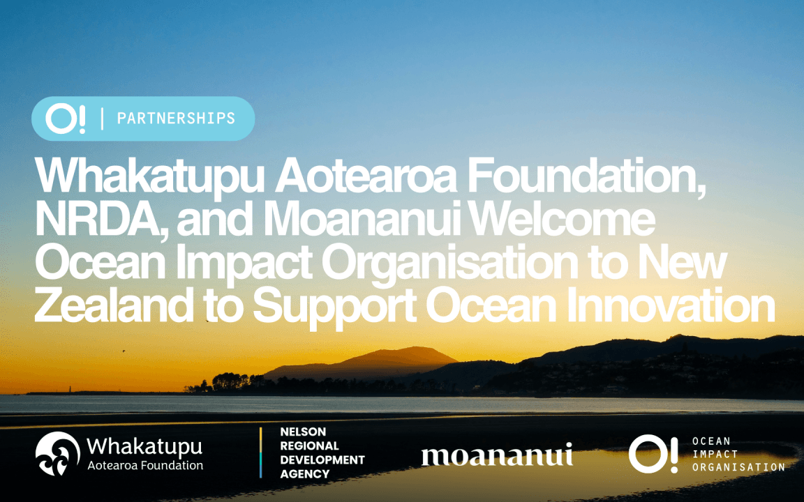 Ocean Impact Organisation to Support Blue Economy Innovation Development in Aotearoa New Zealand