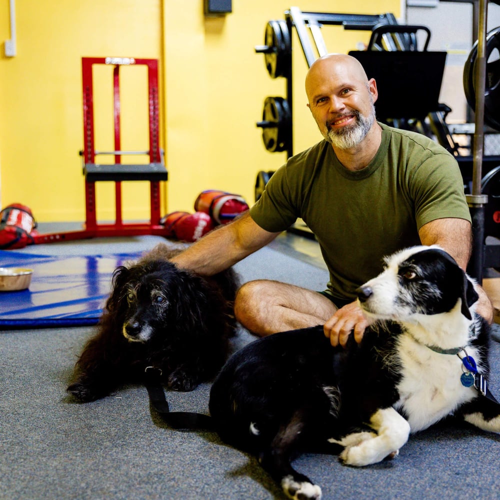 ResultsGym dogs credit Top South Media