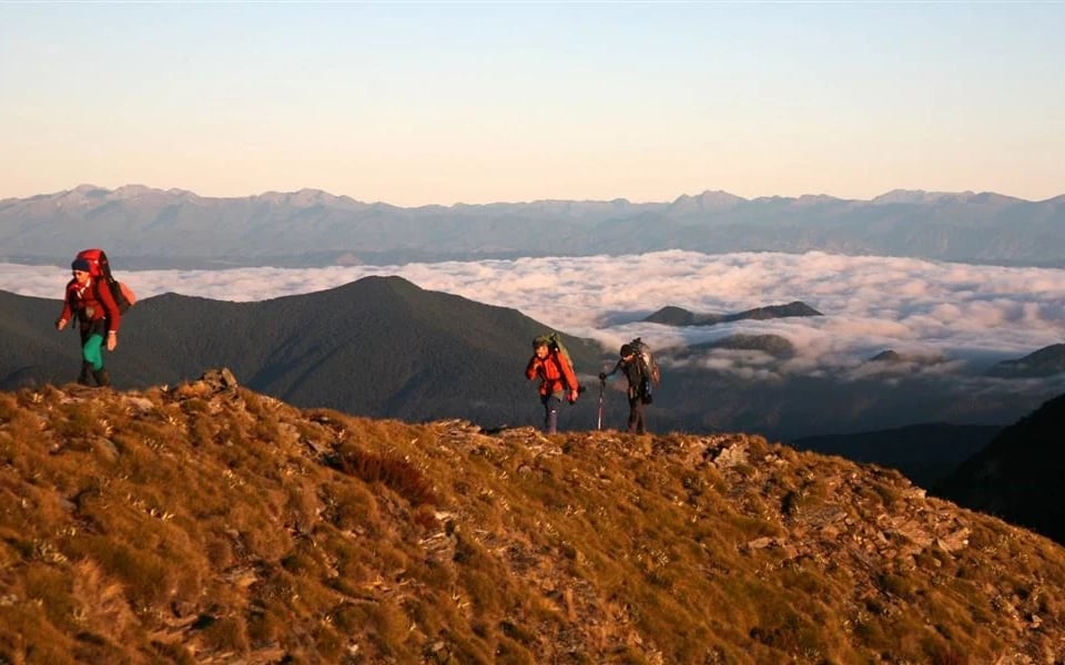 Richmond Ranges Slaty Peak Ridgeline credit DOC