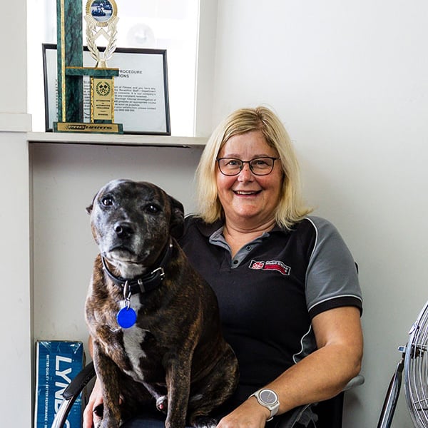 Stoke Mobil dogs credit Top South Media