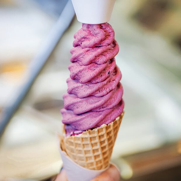 TOAD Hall Ice Creamery by NZ Life Leisure