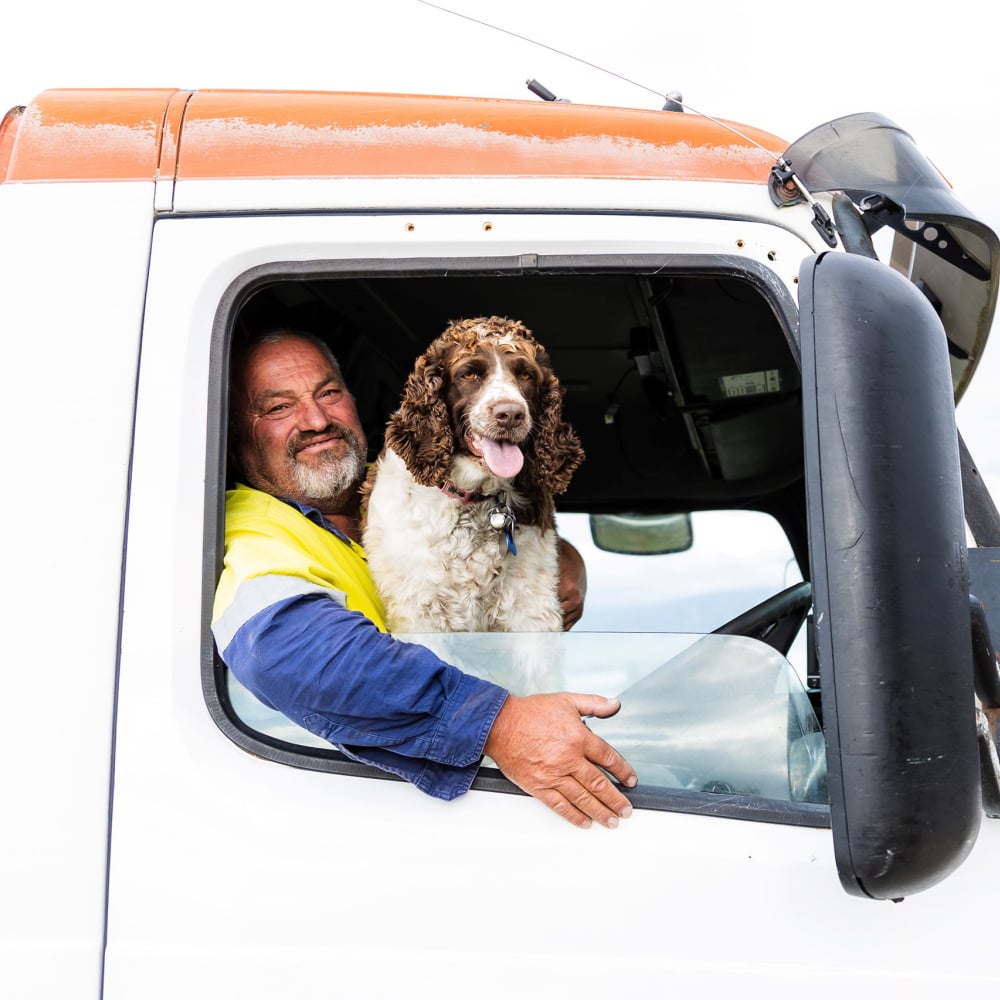 Tasman WaterCare dogs credit Top South Media