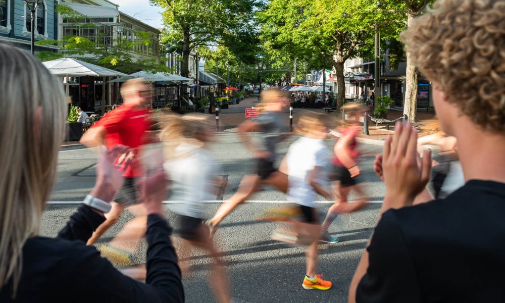 The Spectacle NZ, Aotearoa's newest running festival, is coming to Nelson.