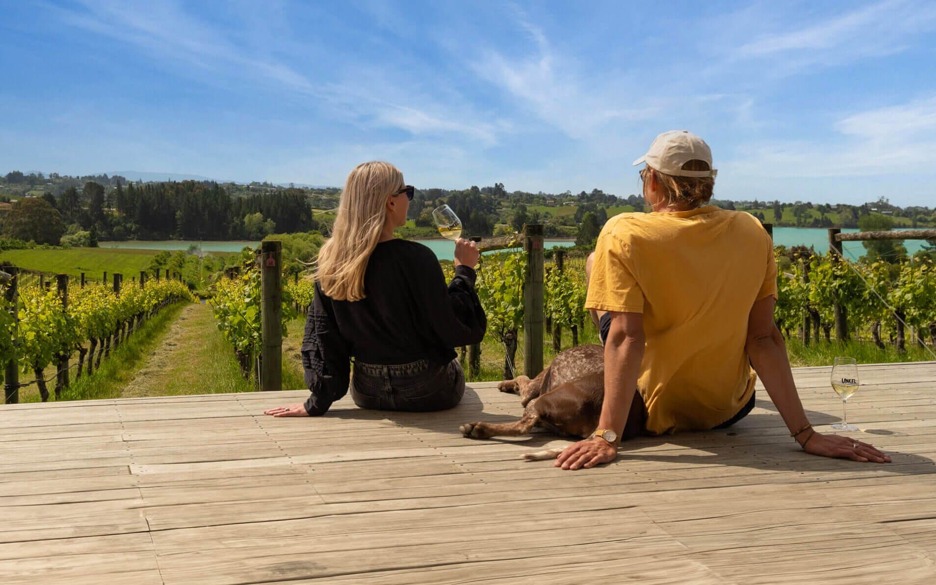 Unkel Vineyard Taste Nelson Wines