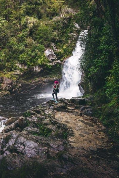 A short walk through lush native bush leads to the cascading Wainui Falls, the largest and most accessible falls in Golden Bay.