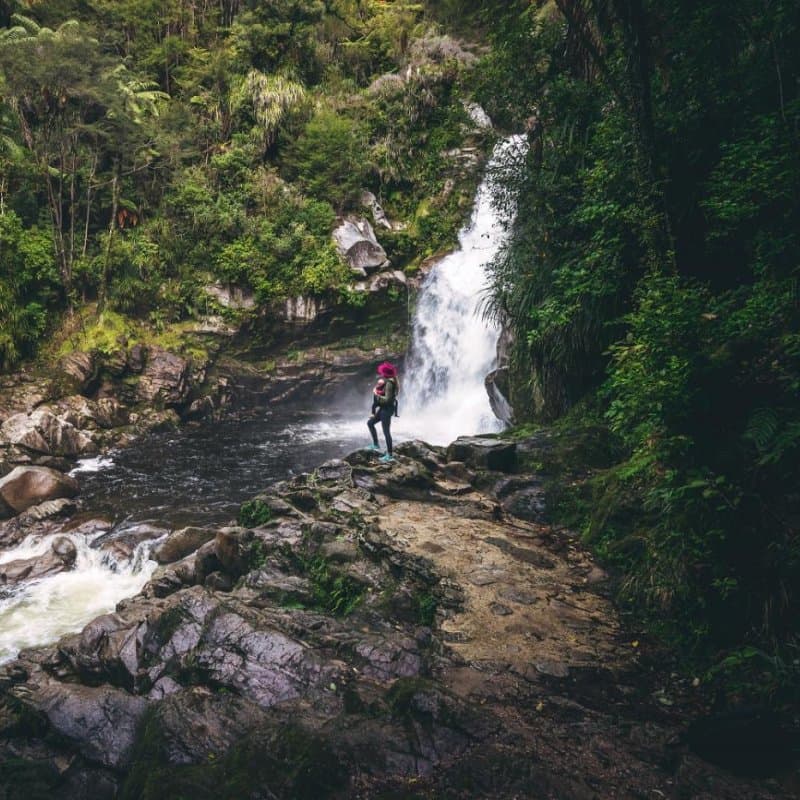 A short walk through lush native bush leads to the cascading Wainui Falls, the largest and most accessible falls in Golden Bay.