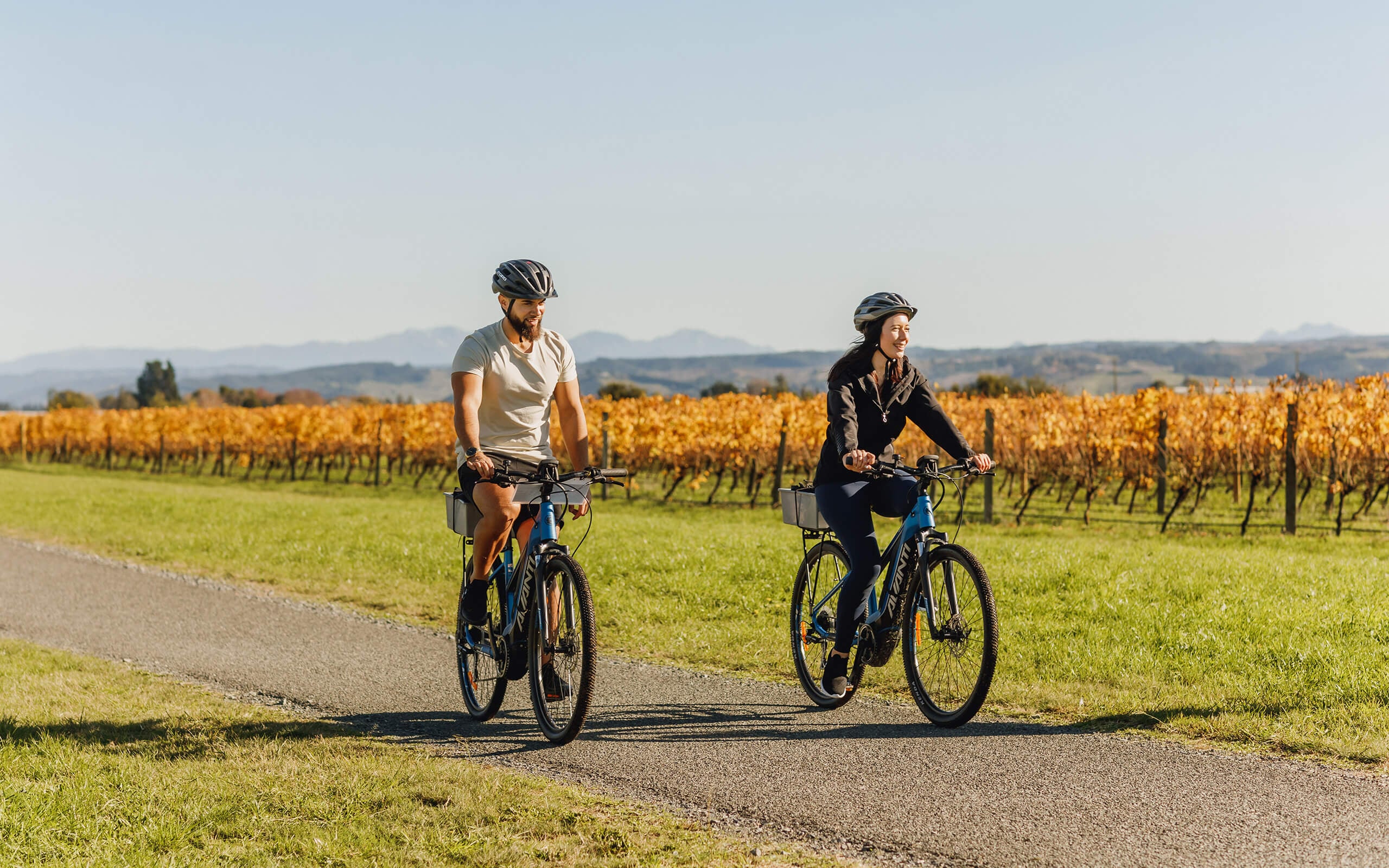 biking vineyards in autumn