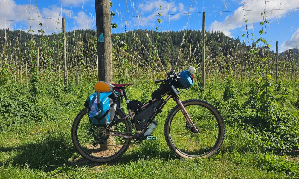 Bikepacking Tasman's Great Taste Trail.