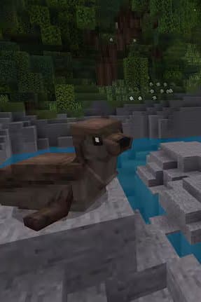 Minecraft recreates Abel Tasman National Park.