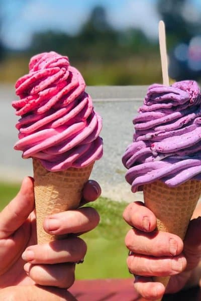 Nothing beats a real fruit ice cream in Nelson Tasman.