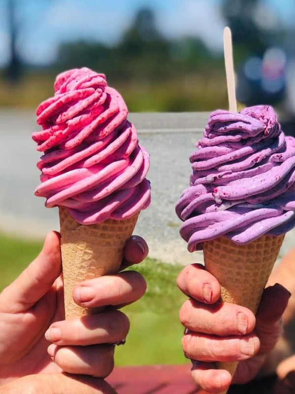 Nothing beats a real fruit ice cream in Nelson Tasman.