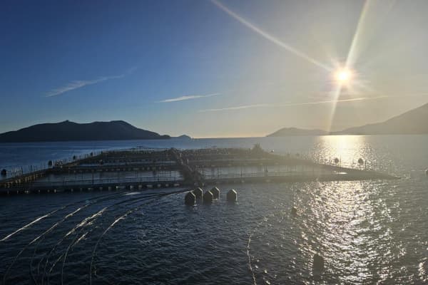 King Salmon Credit King Salmon Facebook