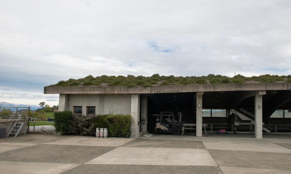 Gravity Winery by Sarah Tuck