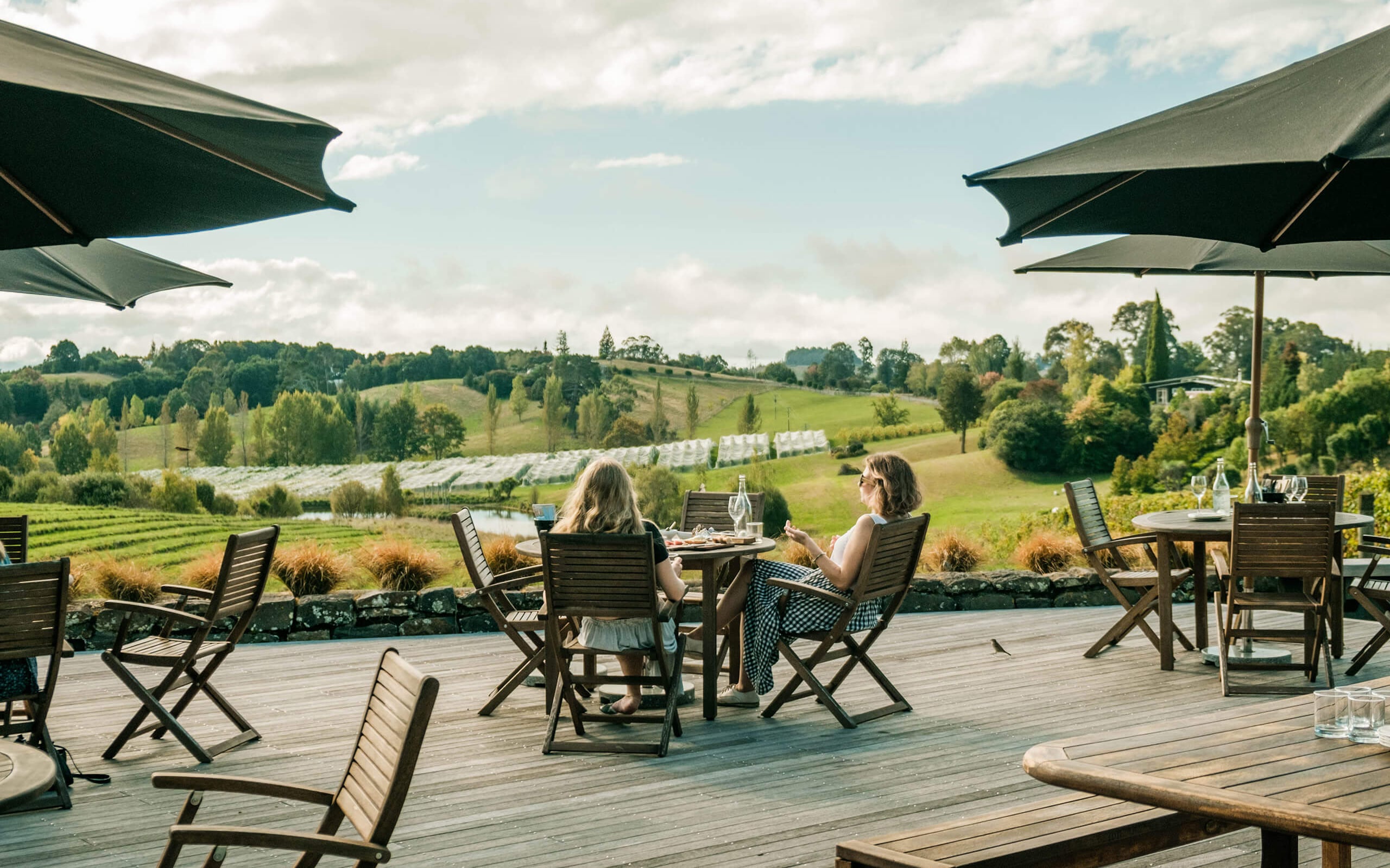 Indulge in one of Gravity's specially curated food and wine tasting experiences.
