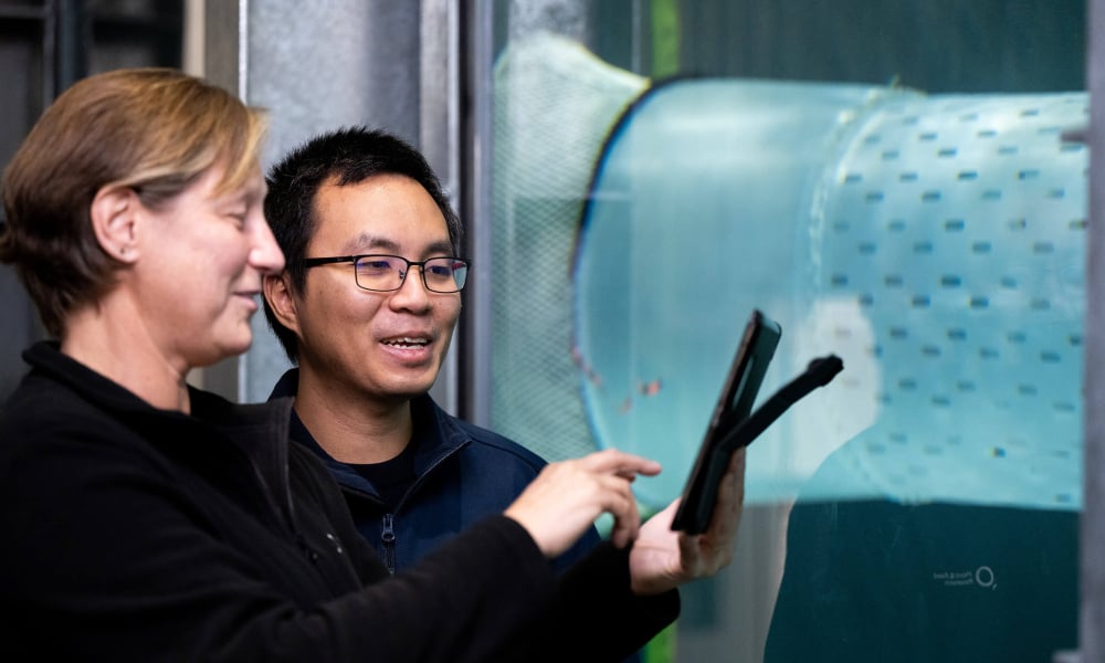 Plant and Food Nelson