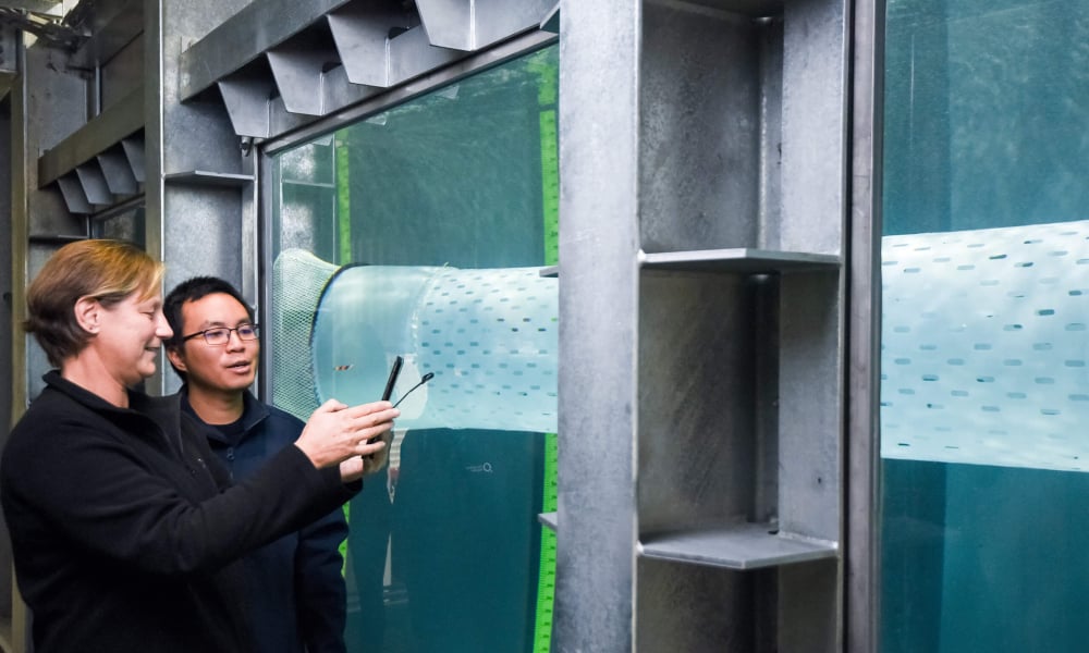 Bioeconomy Science Institute Nelson NZ (2)