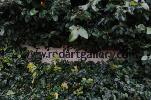 Red Art Gallery Cafe 3 credit Neat Places