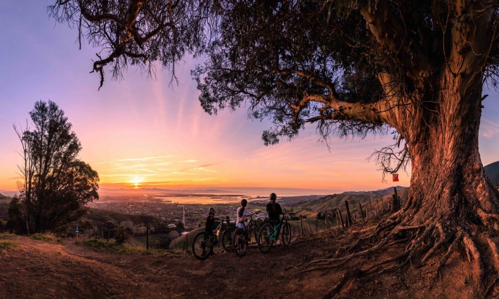 Discover more than 30 kilometres of single-track trails at Silvan Forest, with flowing forest rides and epic views over Tasman Bay from Silvan Steps.