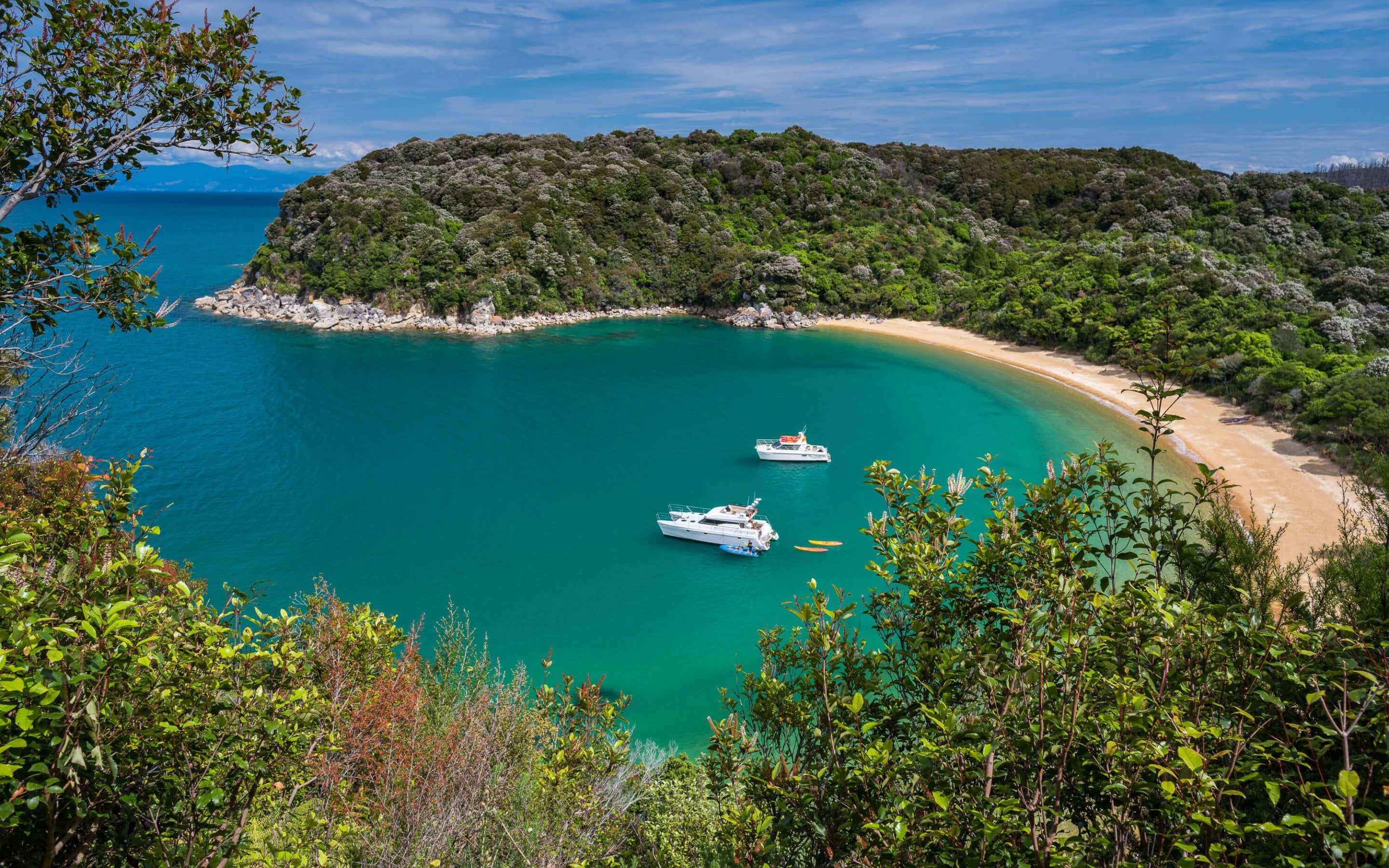 Abel Tasman Charters offers relaxed, small-group cruises where you can soak up the coastline’s beauty without the crowds.