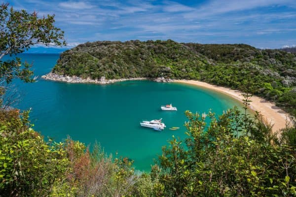 Abel Tasman Charters offers relaxed, small-group cruises where you can soak up the coastline’s beauty without the crowds.