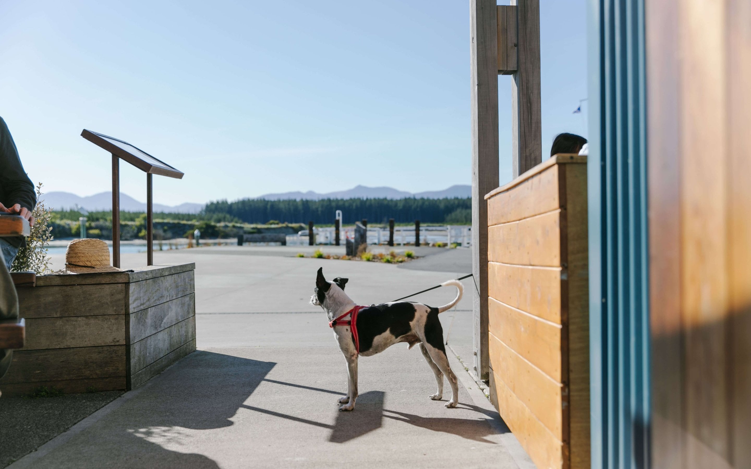 Alberta s 10 dog credit Neat Places