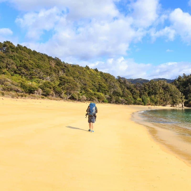 Hiker walking at Anchorage Bay in Abel Tasman National Park