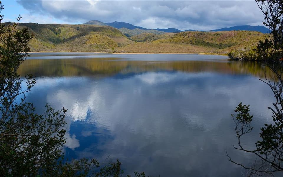 Duggans Dam Aorere Valley by Shellie Evans