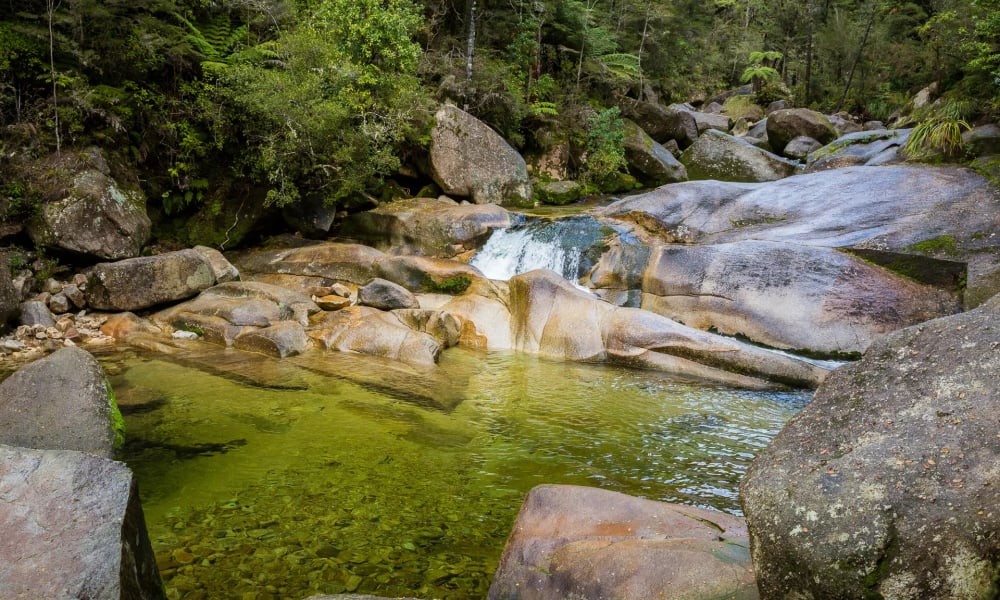 Cleopatra’s Pool is a natural rock pool and moss-lined waterslide tucked away along the Abel Tasman Coast Track.