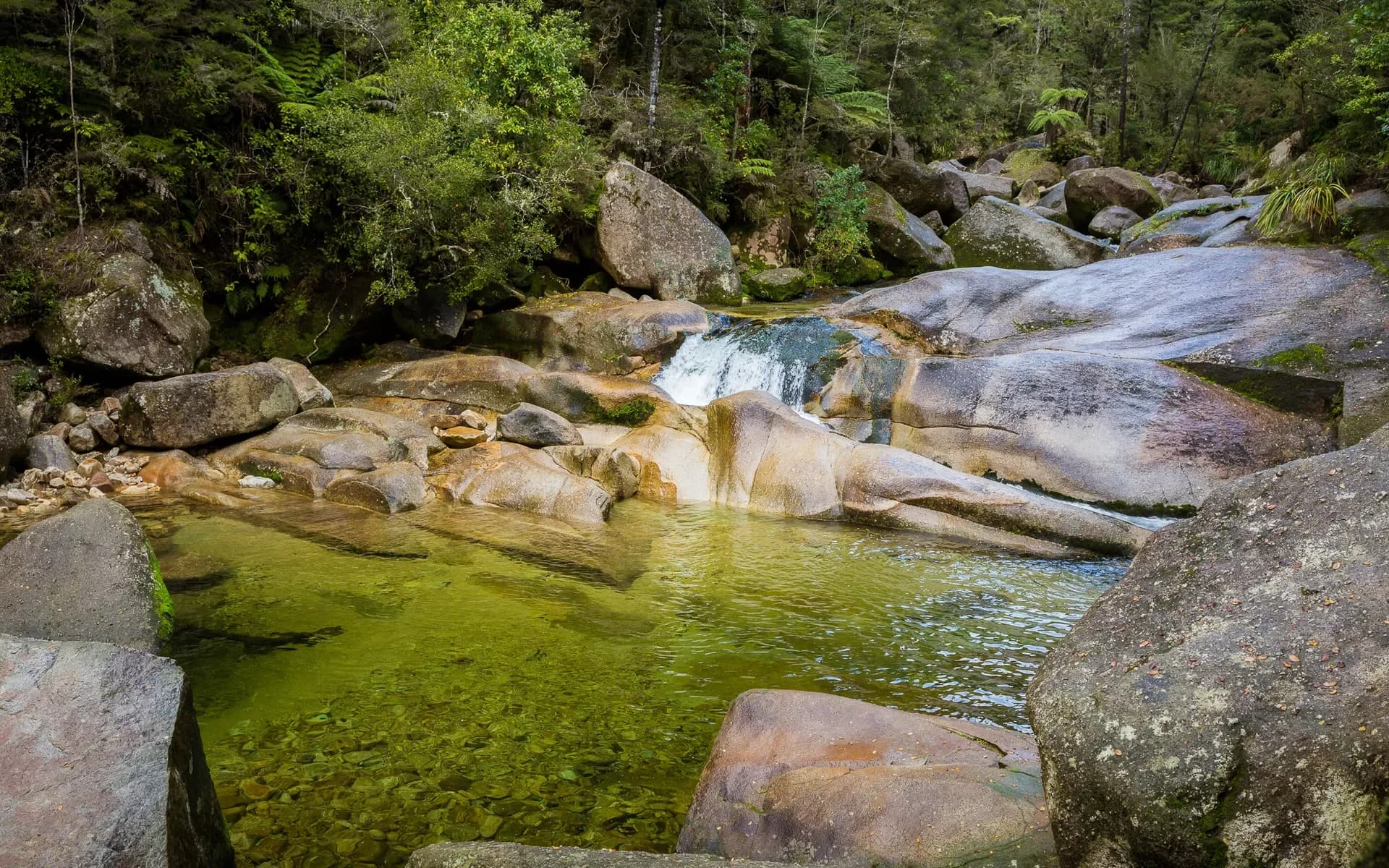 Cleopatra’s Pool is a natural rock pool and moss-lined waterslide tucked away along the Abel Tasman Coast Track.