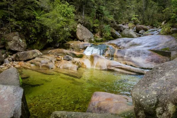 Cleopatra’s Pool is a natural rock pool and moss-lined waterslide tucked away along the Abel Tasman Coast Track.
