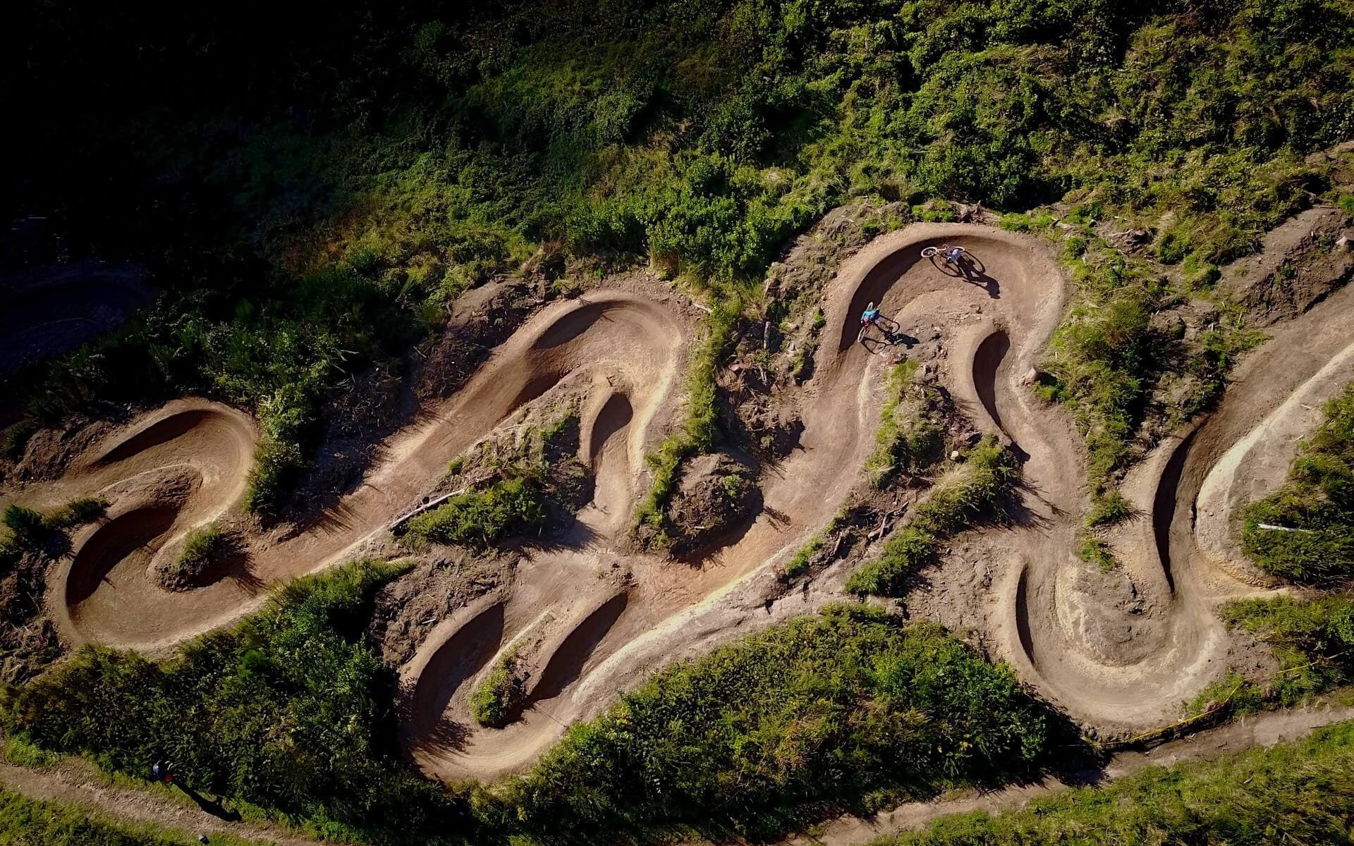 Mountain Biking in Nelson City Codgers MTB Park Crazy Horse by Sven Martin