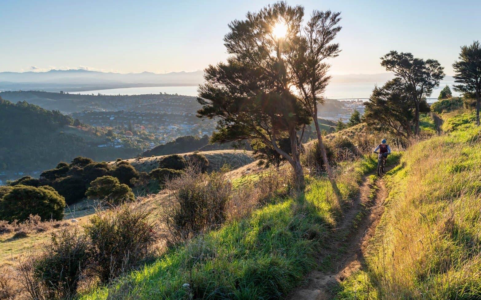 Mountain Biking in Nelson City Codgers MTB Park