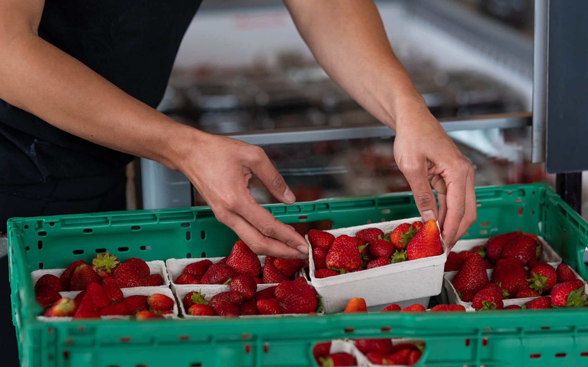 Connings at Old Factory Corner credit Connings 3