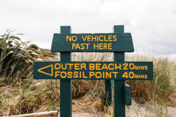 Farewell Spit is a remote coastal landmark best explored with a guided tour.