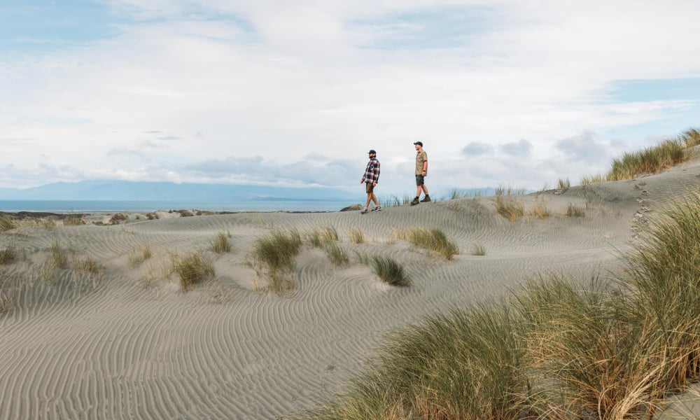 Farewell Spit is one of the longest, and most ecologically important sand spits anywhere in the world.
