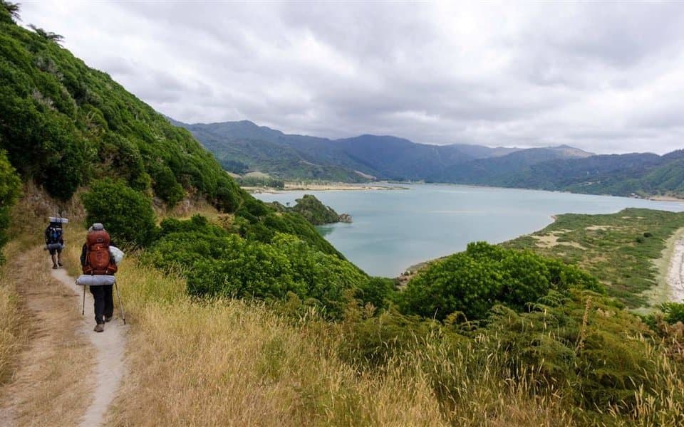 gibbs hill track abel tasman 1920