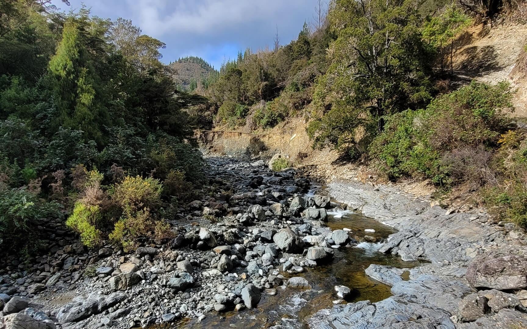 Hacket Track Richmond Ranges