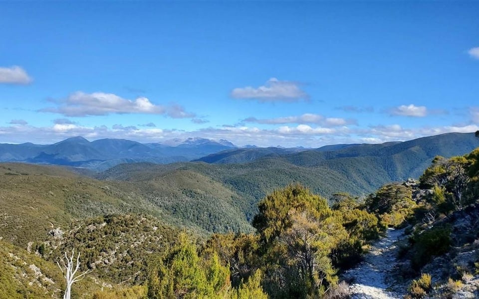 lockett range waingaro track 1920