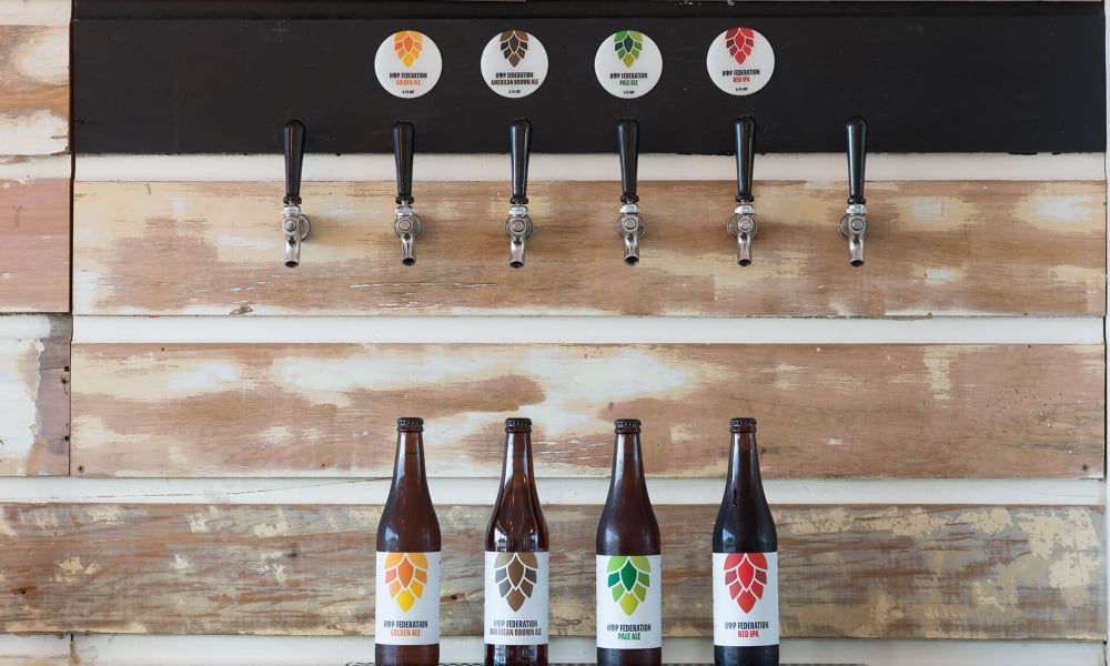 Hop Federation Brewery Riwaka 1