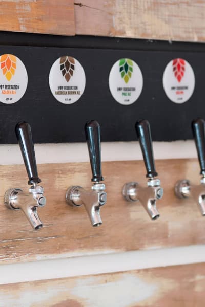 Hop Federation’s tap beers are fresh, bold, and brewed right here.