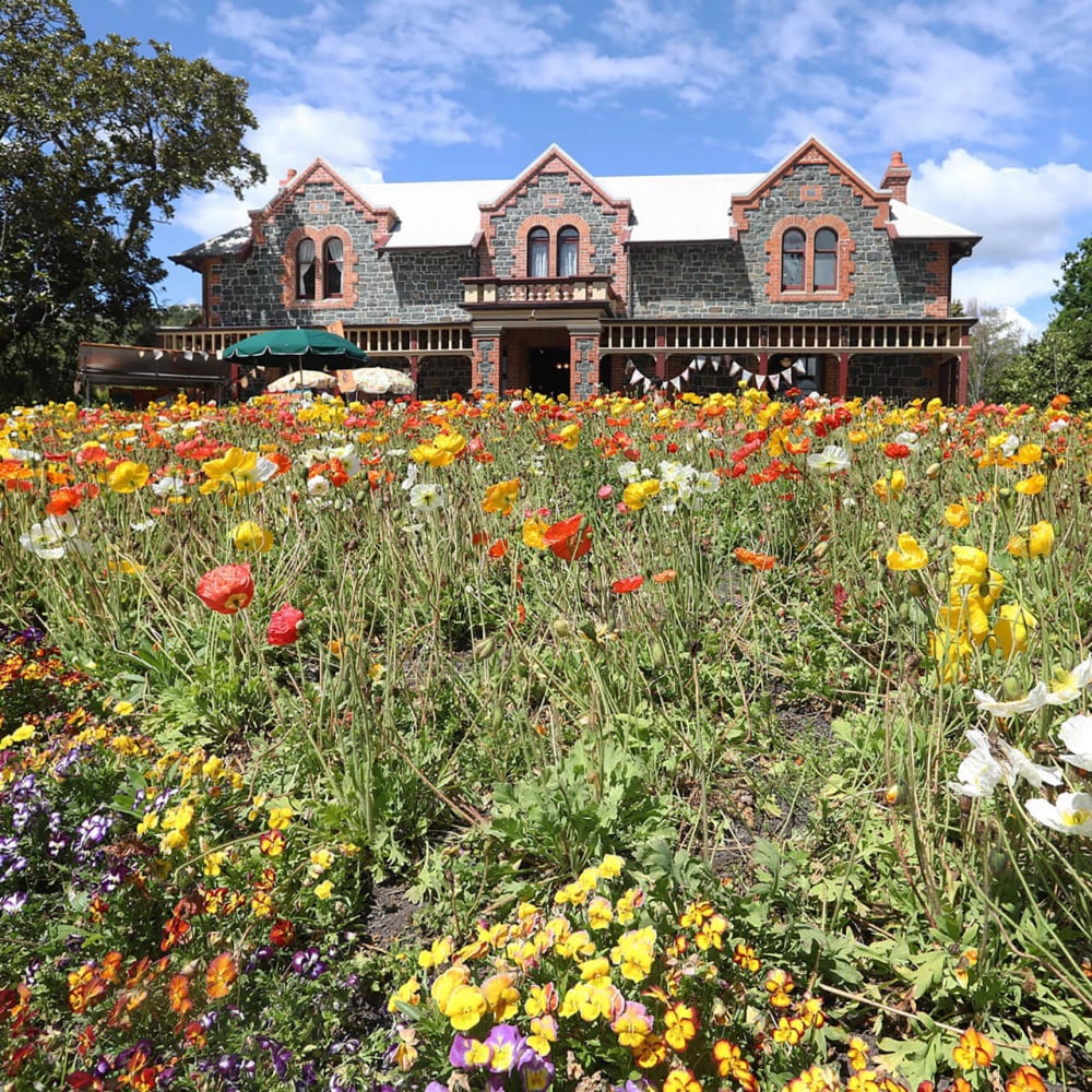 Isel House and Park exterior by Nelson City Council