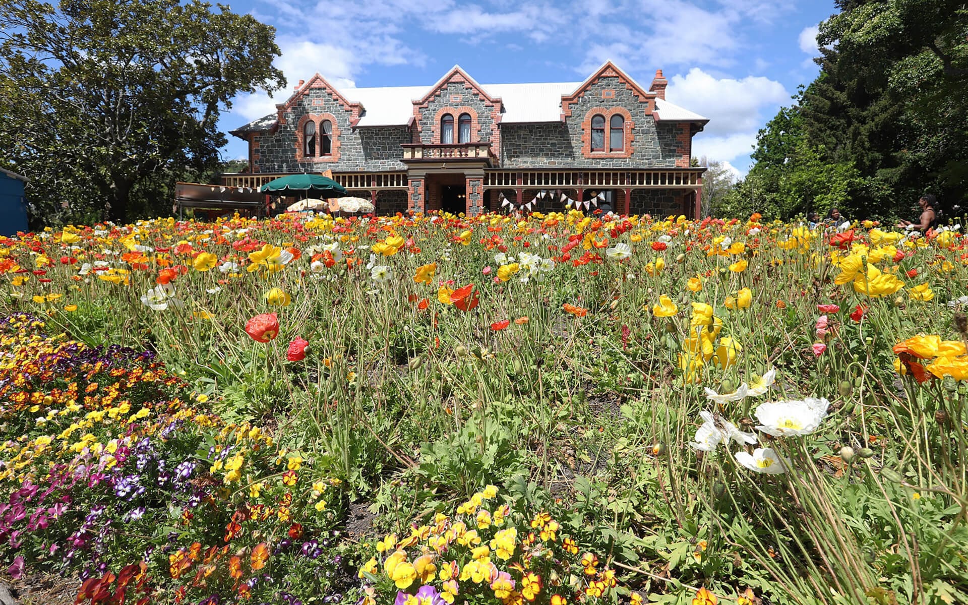Isel House and Park exterior by Nelson City Council